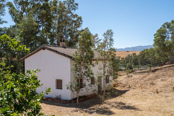 Image No.22-Finca de 3 chambres à vendre à Cartama
