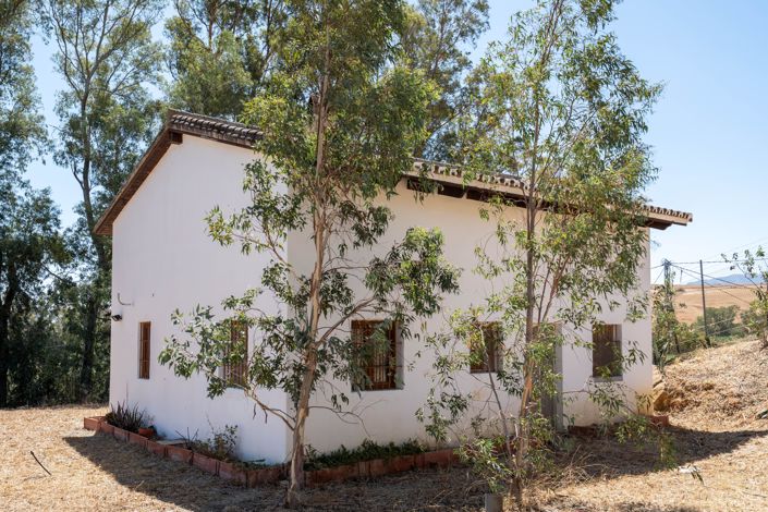 Image No.3-Finca de 3 chambres à vendre à Cartama