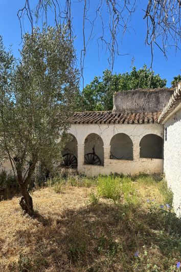 Image No.13-Finca for sale