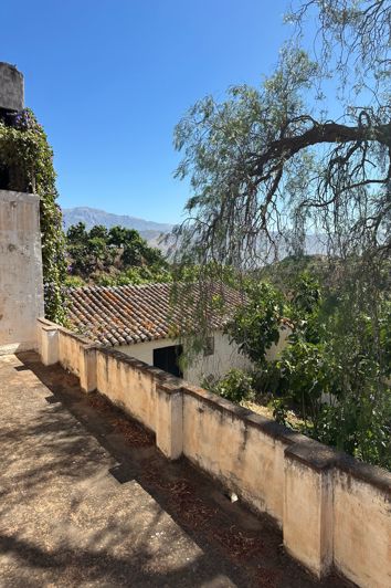 Image No.14-Finca for sale