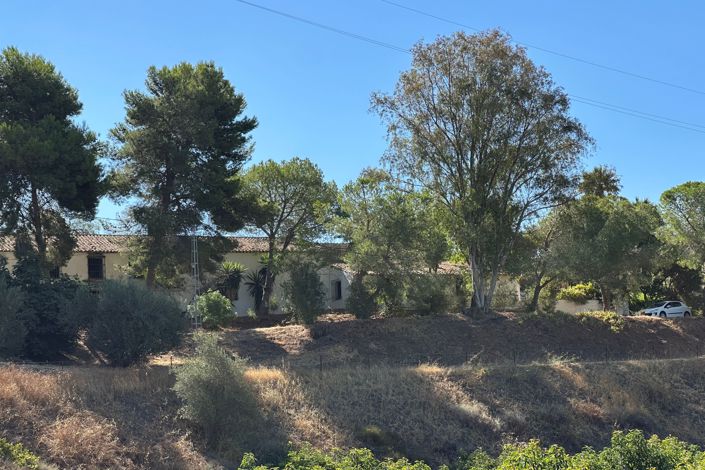 Image No.2-Finca for sale