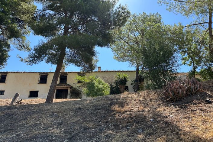 Image No.3-Finca for sale