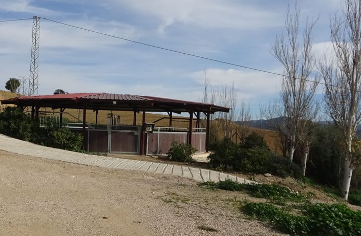 Image No.19-Propriété de 4 chambres à vendre à Villanueva de la Concepción