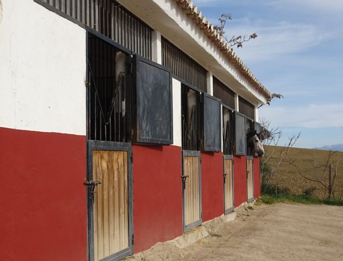 Image No.4-Propriété de 4 chambres à vendre à Villanueva de la Concepción