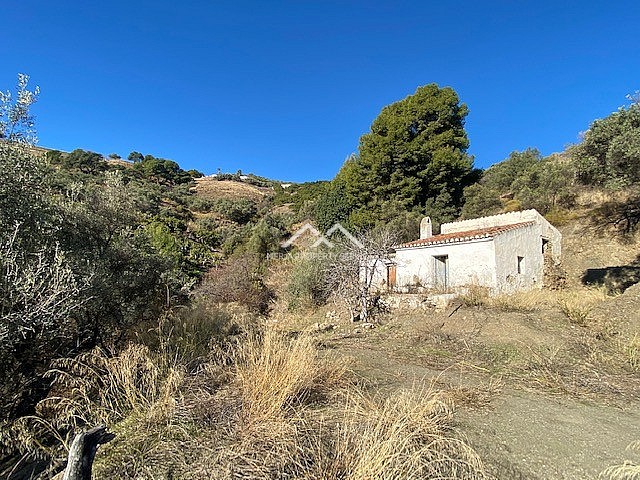 Image No.4-Propriété à vendre à Frigiliana