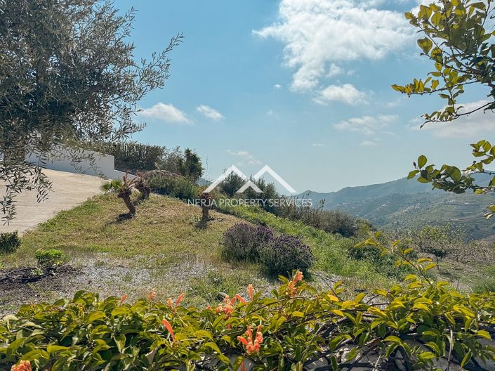 Image No.5-3 Bed Villa for sale