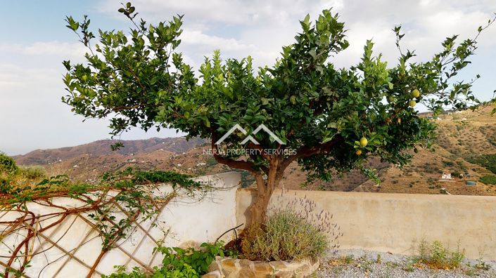 Image No.36-3 Bed Villa for sale