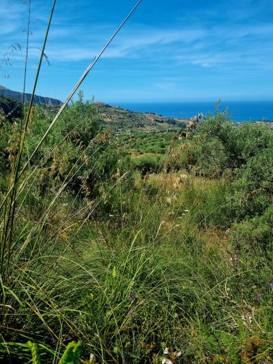 Image No.6-2 Bed Land for sale