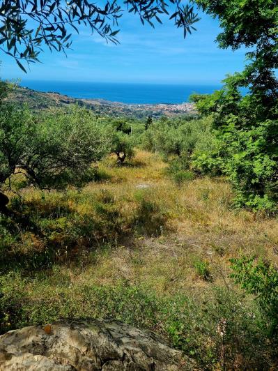 Image No.7-2 Bed Land for sale
