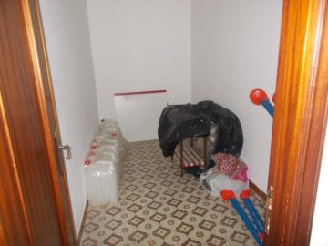 Lodino-Gpp---Co---17-