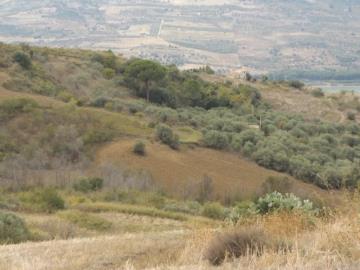 Guzzino-Maria---Ci---3-