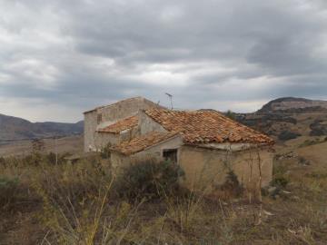 Guzzino-Maria---Ci---10-