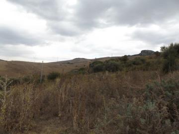 Guzzino-Maria---Ci---12-