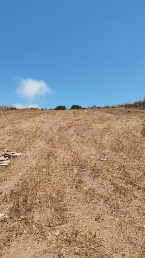 Image No.6-2 Bed Land for sale