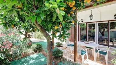 fruit trees