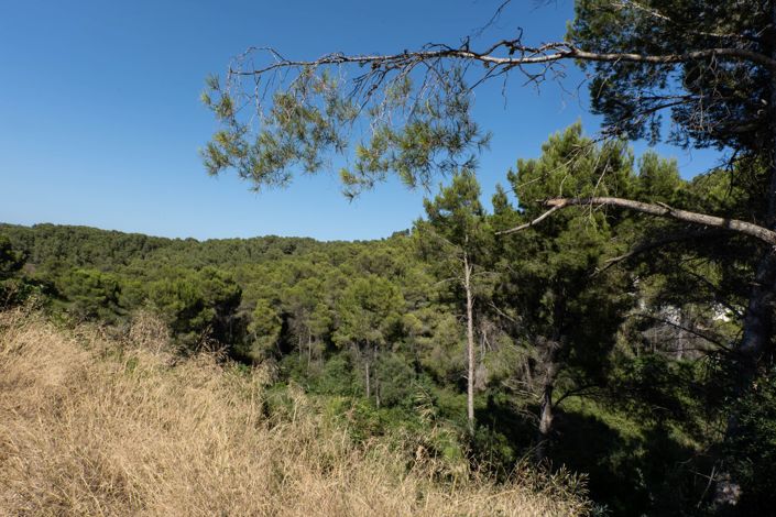 Image No.11-Land for sale