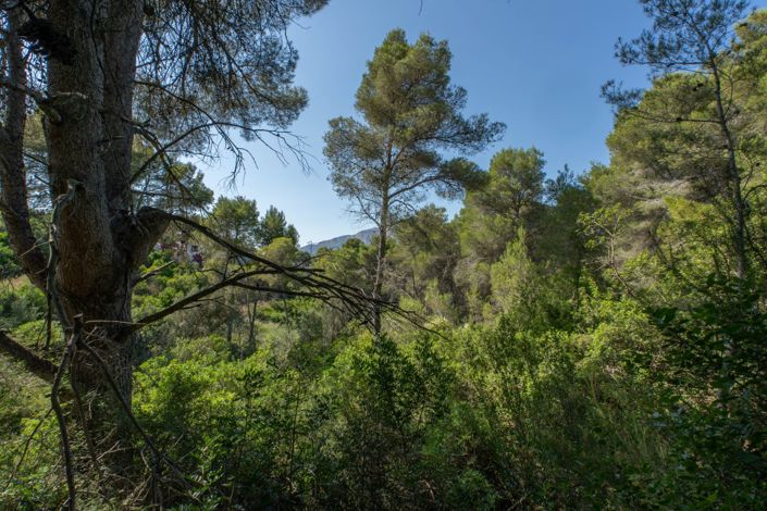 Image No.2-Land for sale