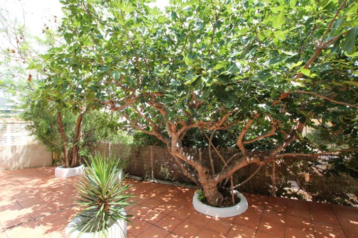 Image No.24-Villa de 4 chambres à vendre à Calpe