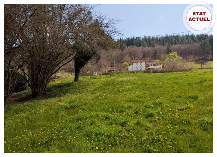Image No.3-Land for sale