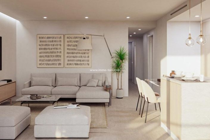Image No.19-3 Bed Penthouse for sale