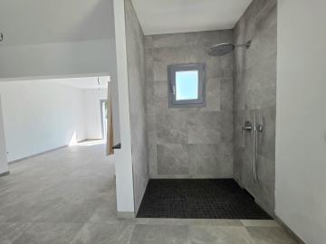 1000064537