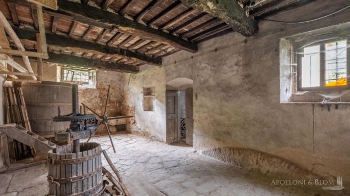 Image No.24-Appartement de 10 chambres à vendre à Barberino di Mugello
