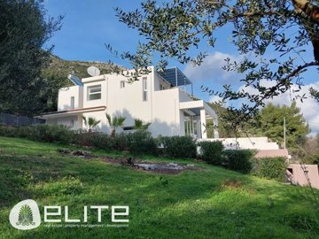 e-1313976217