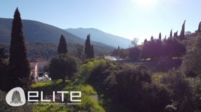 e--1892976744