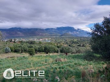 e--2118089016