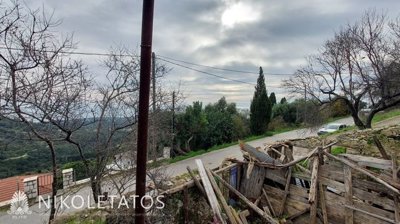 e-1138782540