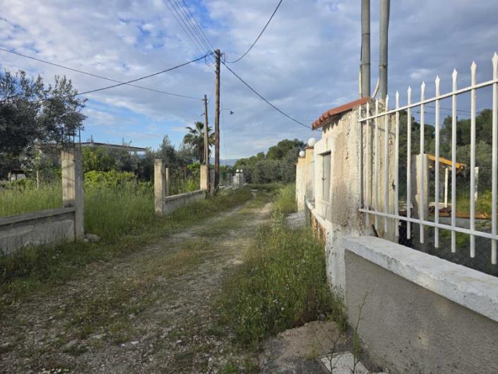 Image No.42-3 Bed House for sale