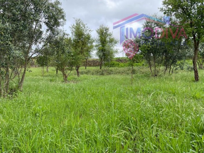 Image No.29-Plot for sale