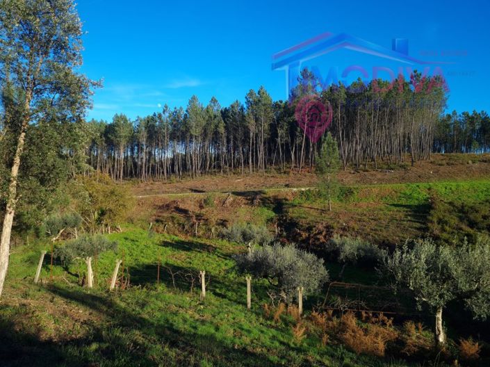 Image No.34-Plot for sale