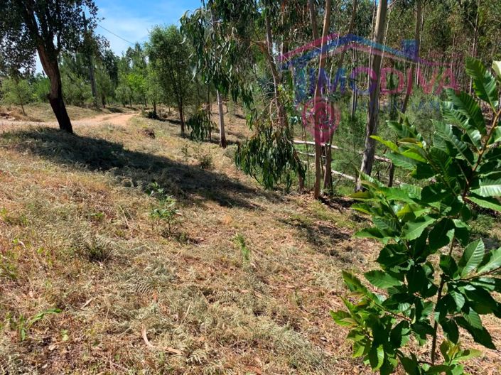 Image No.4-Plot for sale