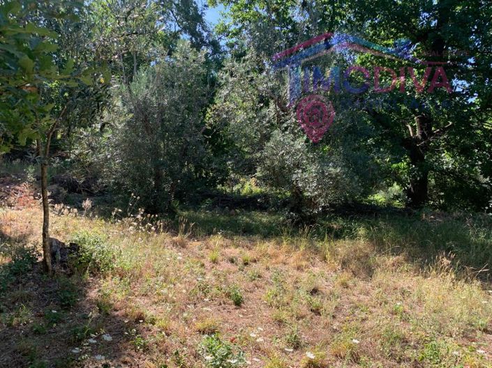 Image No.35-1 Bed House for sale