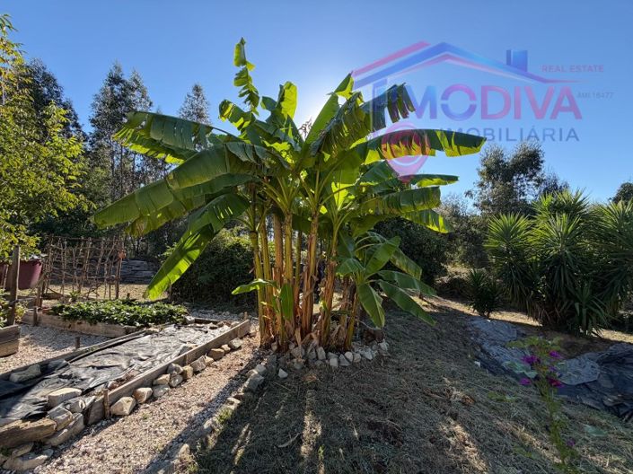Image No.51-1 Bed House for sale