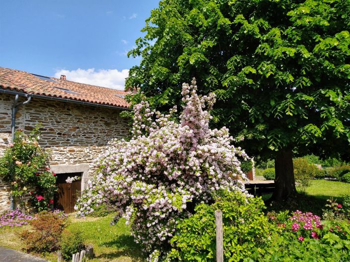 Image No.5-5 Bed House for sale