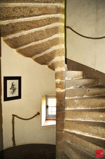 Image No.8-Propriété de 11 chambres à vendre à Laval
