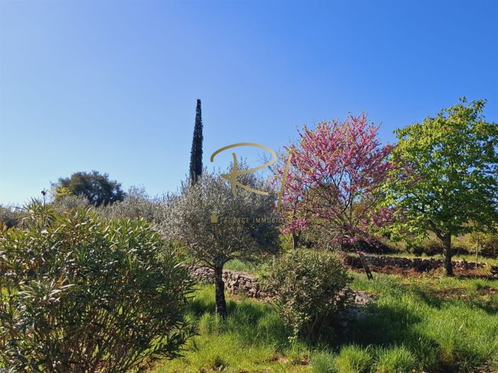 Image No.15-4 Bed House for sale