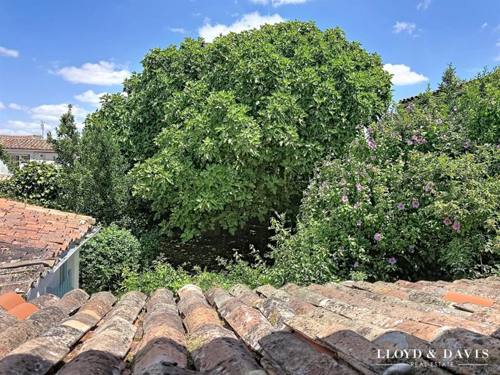 Image No.12-4 Bed House for sale