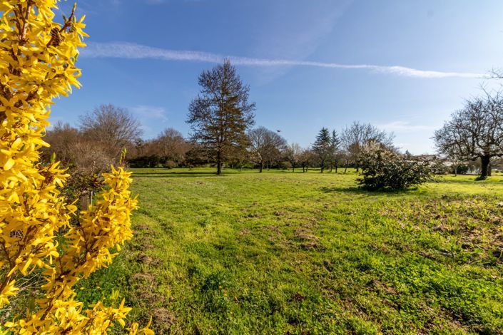 Image No.4-6 Bed House for sale