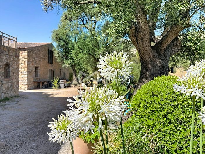Image No.3-Casa con 12 dormitorios en venta