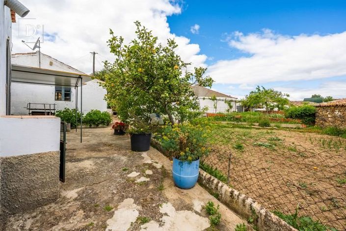 Image No.25-3 Bed House for sale