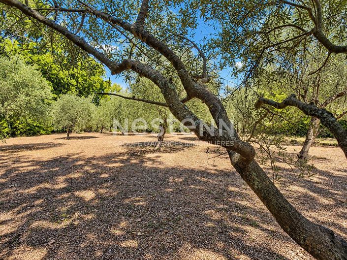 Image No.13-6 Bed House for sale