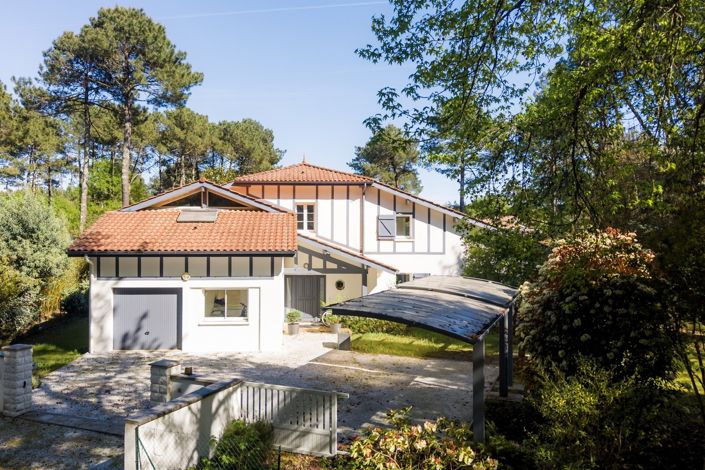 Villa Gonea