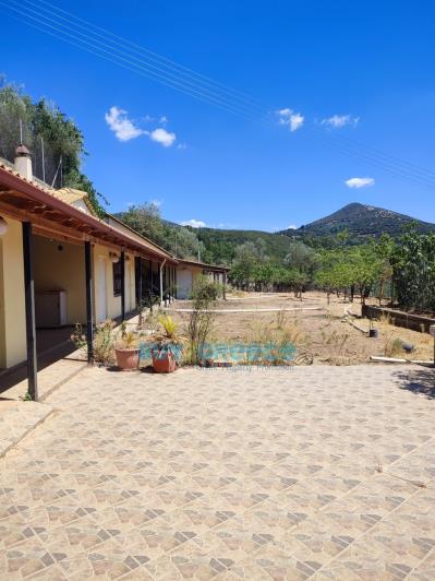 Image No.10-5 Bed House for sale