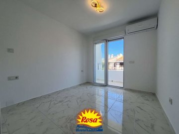 property245376405