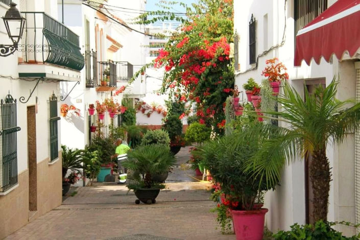 Image No.8-3 Bed Townhouse for sale