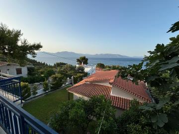 Veranda-View-with-Fig-Tree