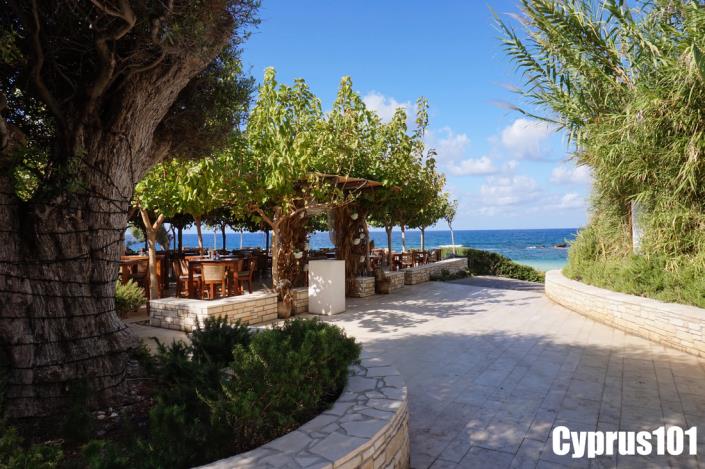 Image No.4-Villa / Détaché de 5 chambres à vendre à Agios Georgios
